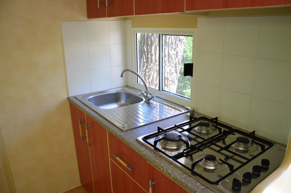 Fridge, stovetop, cookware/dishes/utensils