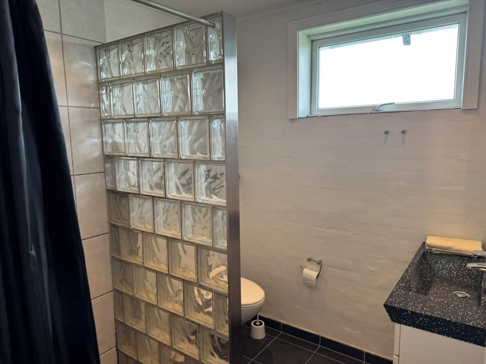 Shower, hair dryer
