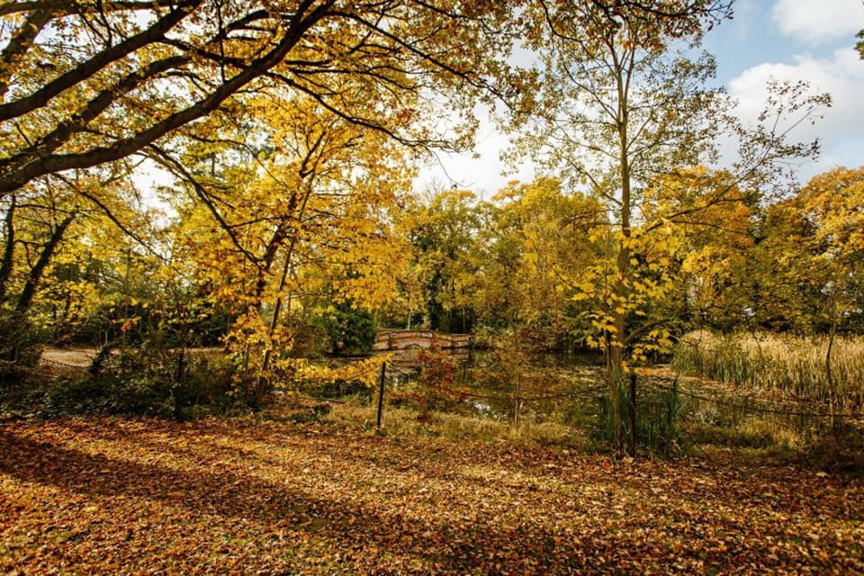 House | Property grounds