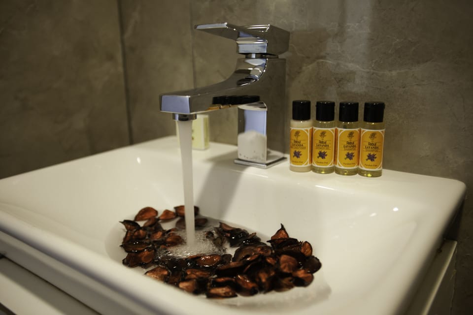 Budget Room (Backside Without View) | Bathroom | Shower, free toiletries, hair dryer, slippers