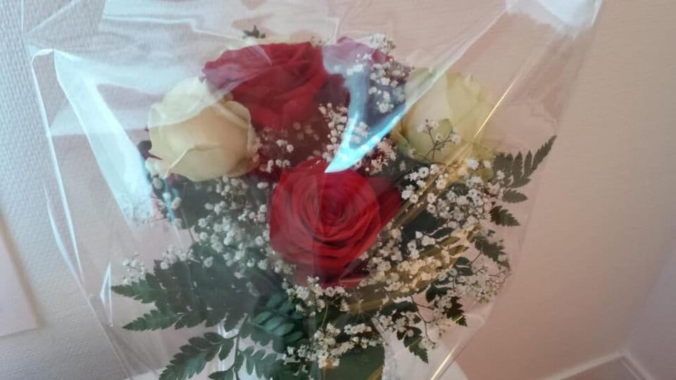 Double Room | Premium bedding, desk, laptop workspace, iron/ironing board