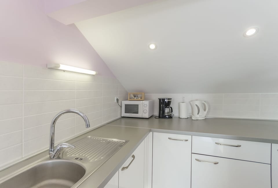 Apartment (A1) | Private kitchen | Fridge, microwave, oven, stovetop