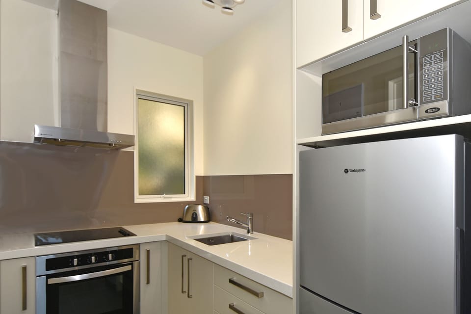 Fridge, microwave, stovetop, electric kettle