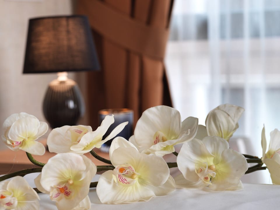 Standard Double or Twin Room | Premium bedding, minibar, soundproofing, iron/ironing board