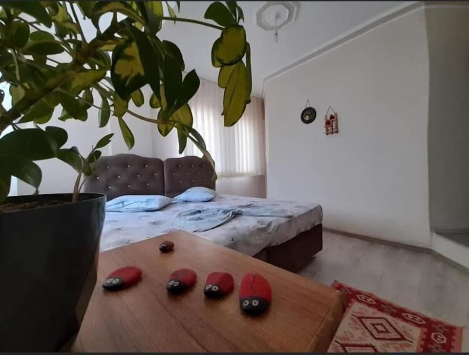 Classic Double or Twin Room, 1 Bedroom, Garden View | Desk, laptop workspace, soundproofing, iron/ironing board