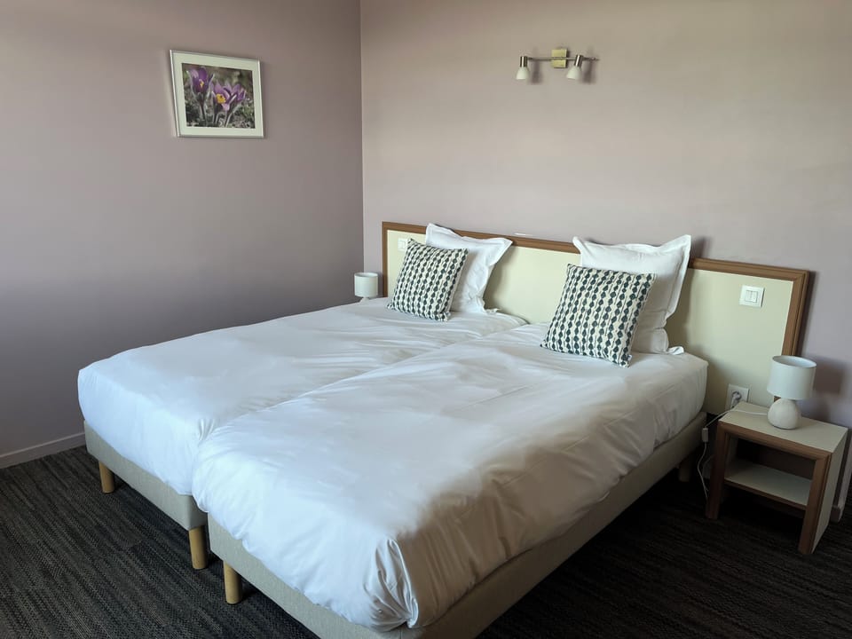 Comfort Twin Room | Laptop workspace, free WiFi, bed sheets