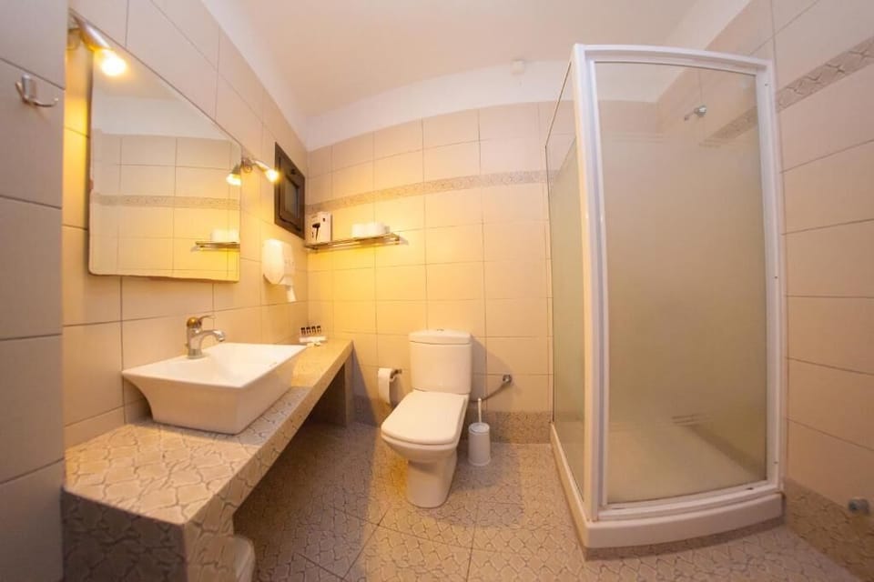 Greek Pride Aithrion Hotel Hotel in Halkidiki