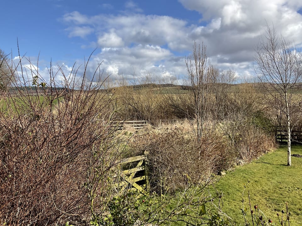 Cottage, Accessible, Ensuite (Hetton Byre) | View from property