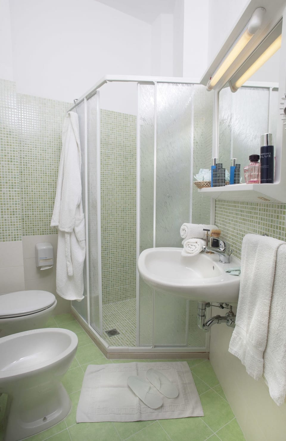 Shower, hair dryer, bidet, towels