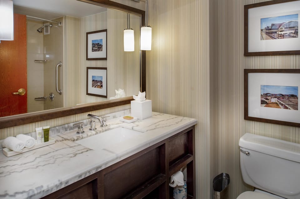 Combined shower/tub, free toiletries, hair dryer, towels