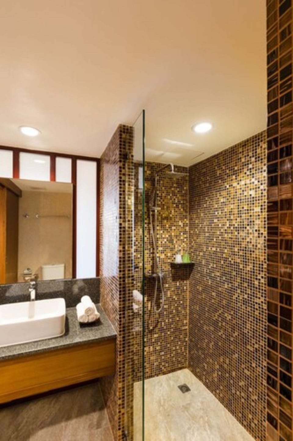 Shower, free toiletries, hair dryer, slippers
