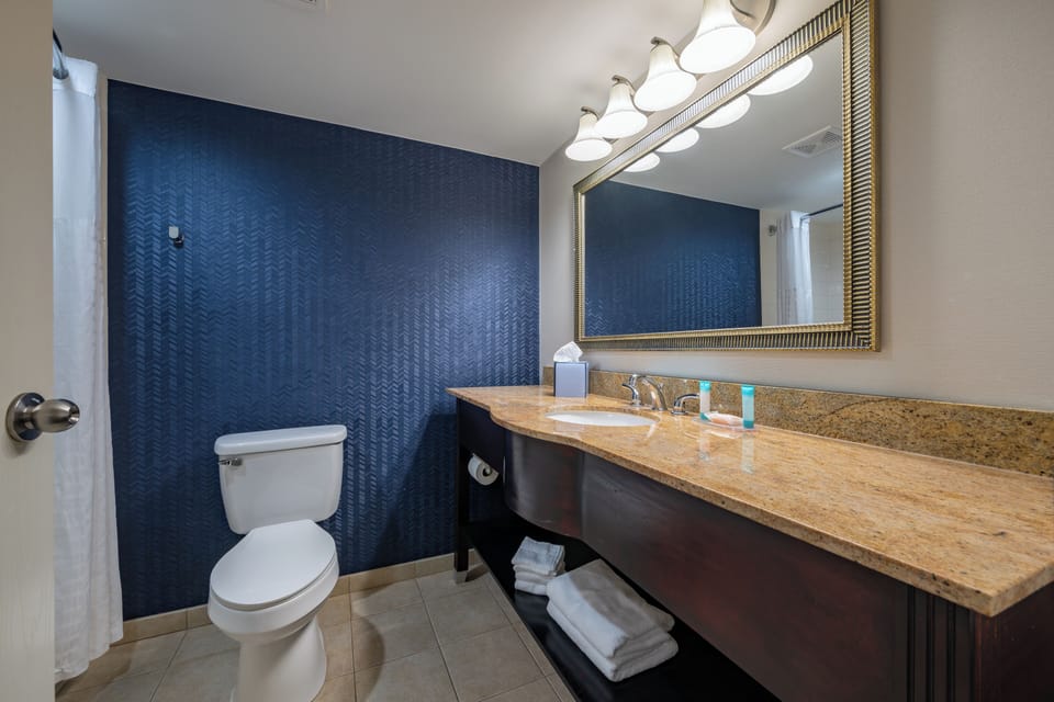 Combined shower/tub, eco-friendly toiletries, hair dryer, towels