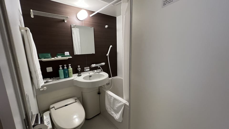 Combined shower/tub, free toiletries, hair dryer (on request), slippers