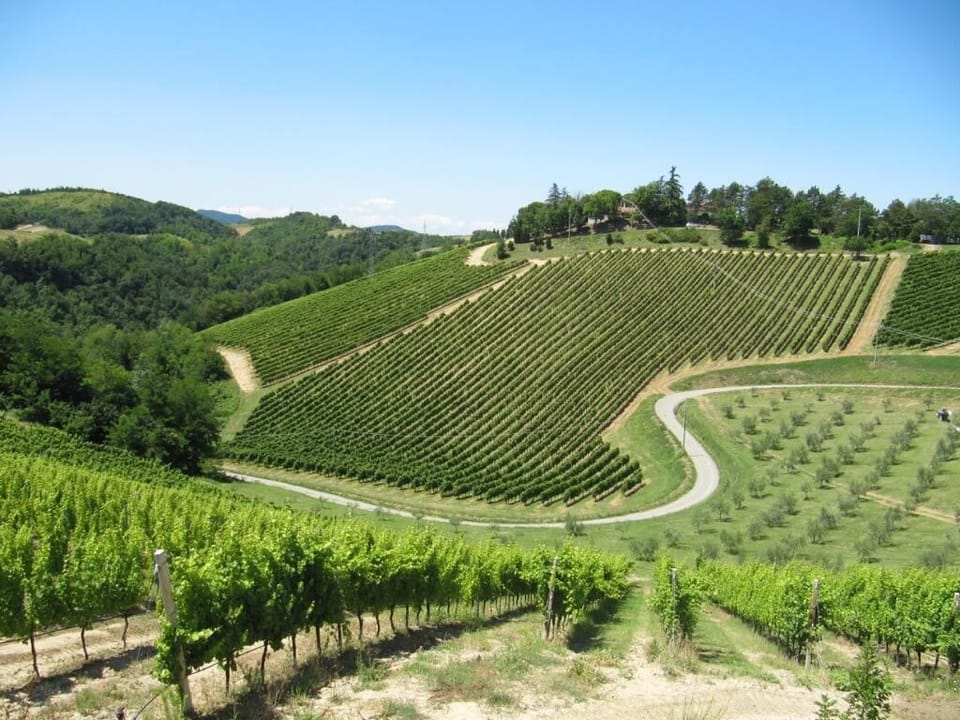 Winery