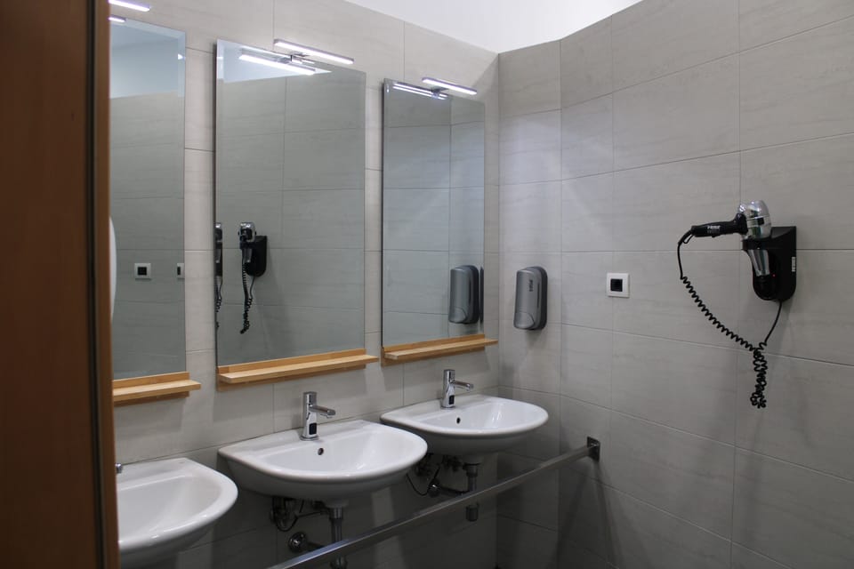 Shower, hair dryer, soap, toilet paper