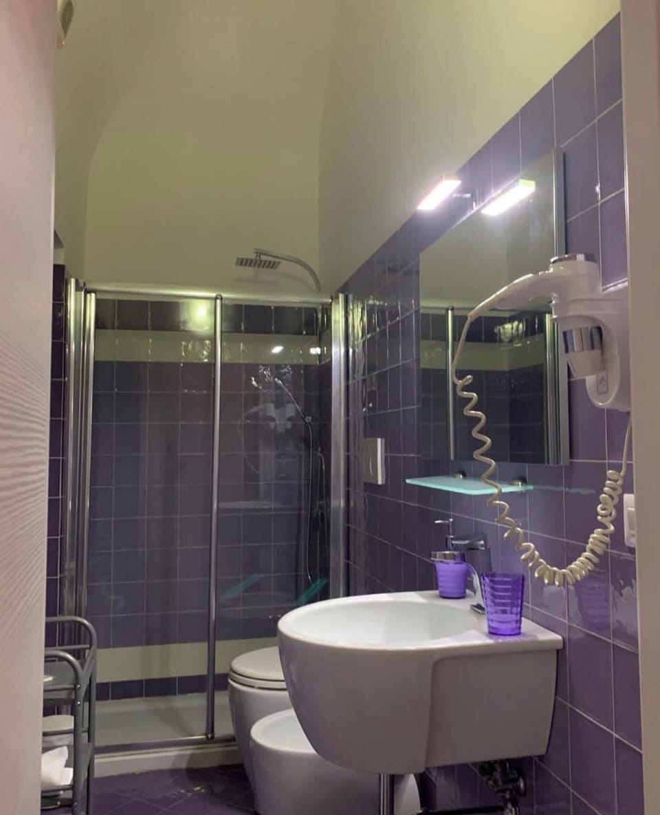 Deluxe Double Room | Bathroom | Shower, free toiletries, bidet, towels