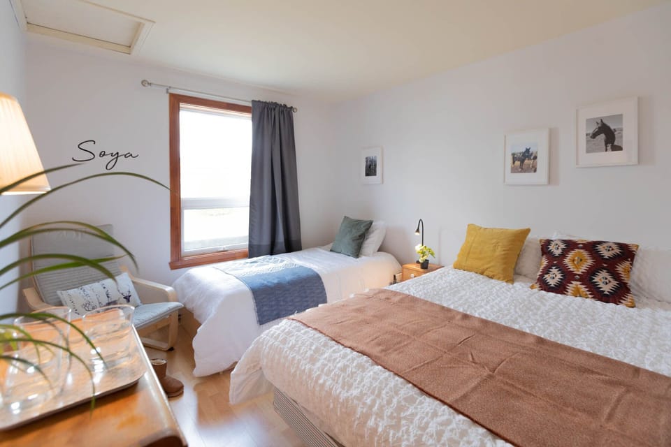 Hypo-allergenic bedding, desk, laptop workspace, free WiFi