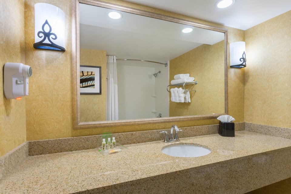 Combined shower/tub, free toiletries, hair dryer, towels