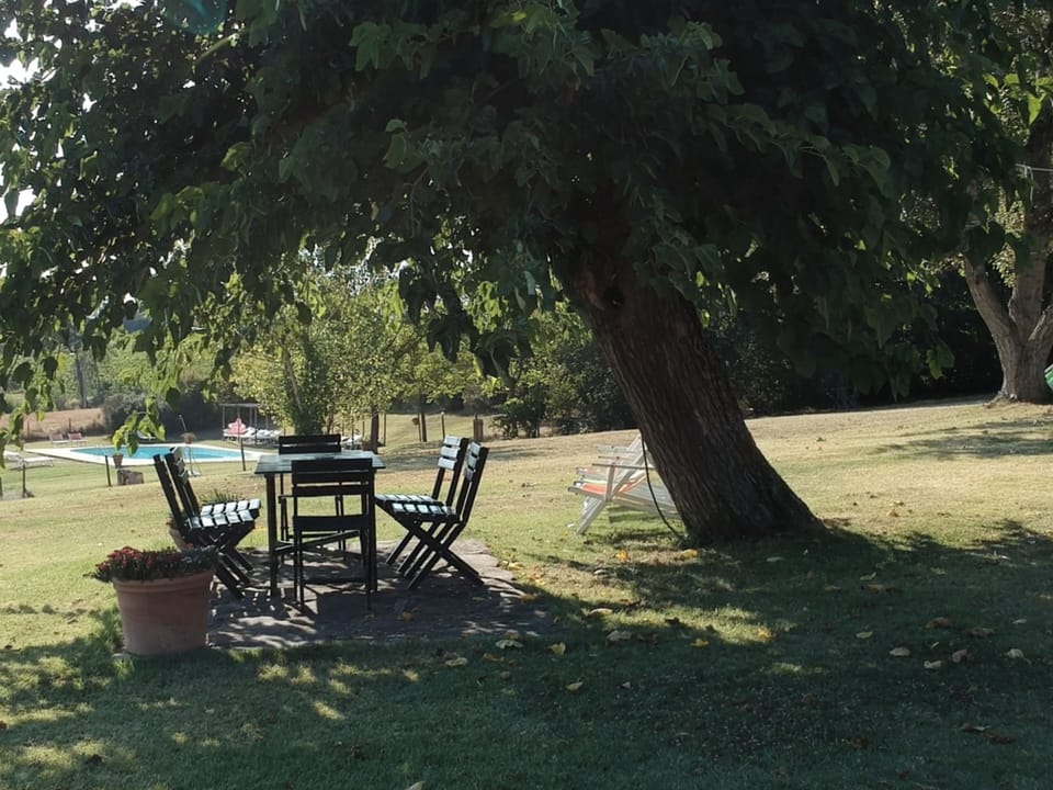 Apartment, 1 Bedroom, Smoking, Patio | Garden