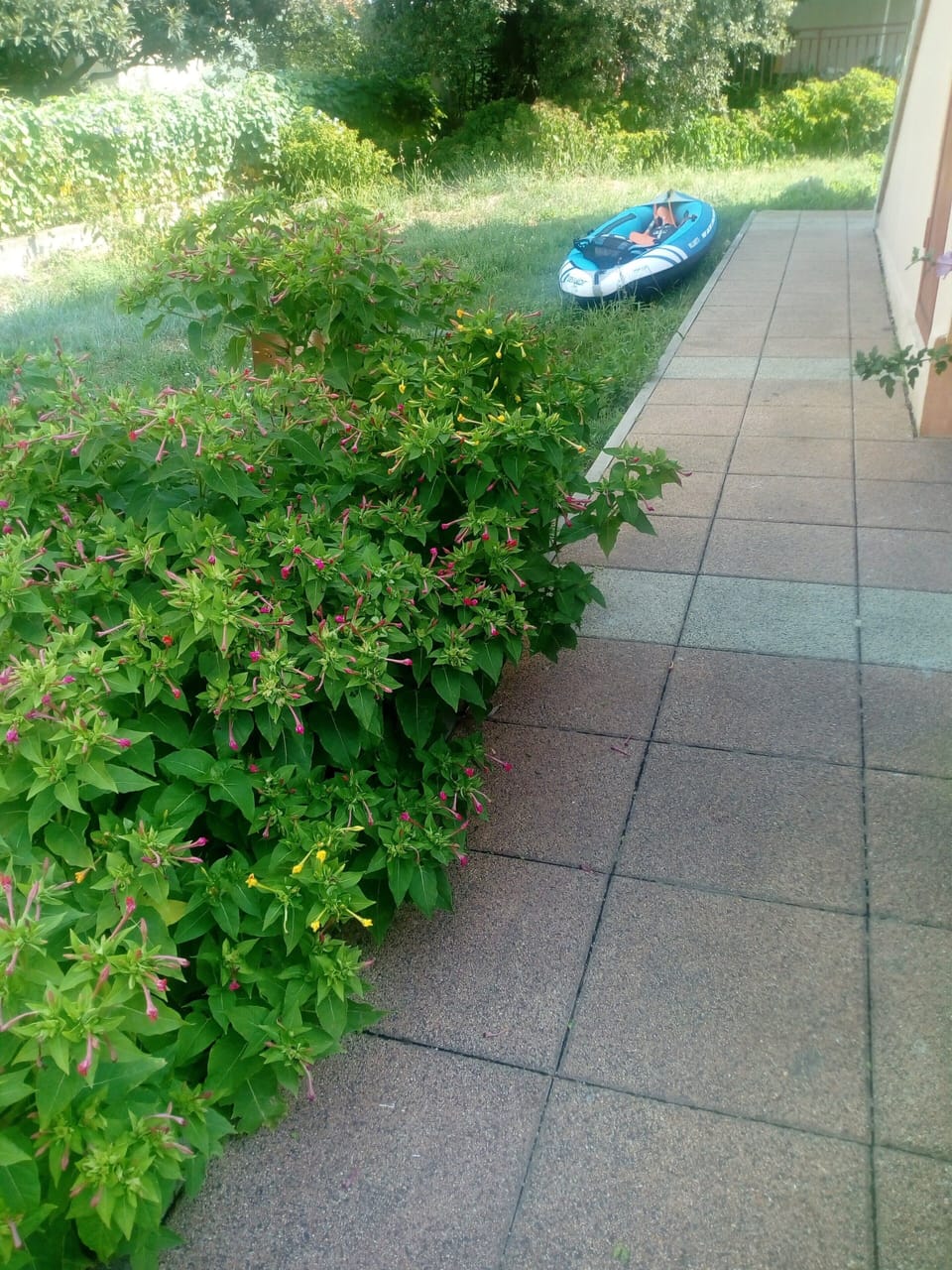 Apartment, 1 Bedroom, Balcony, Garden View | Property grounds