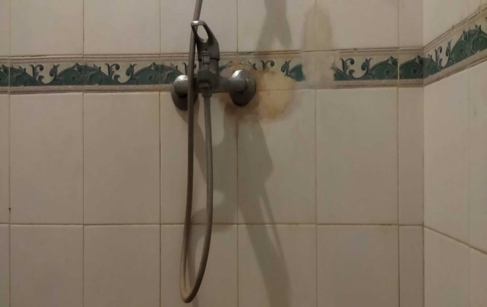 Deluxe Double Room | Bathroom | Shower, rainfall showerhead, soap, shampoo