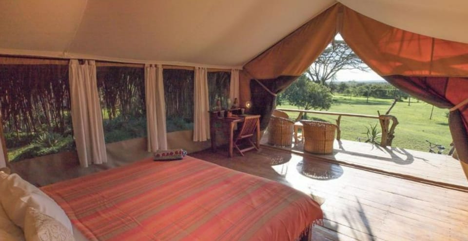 Tent | Bed sheets