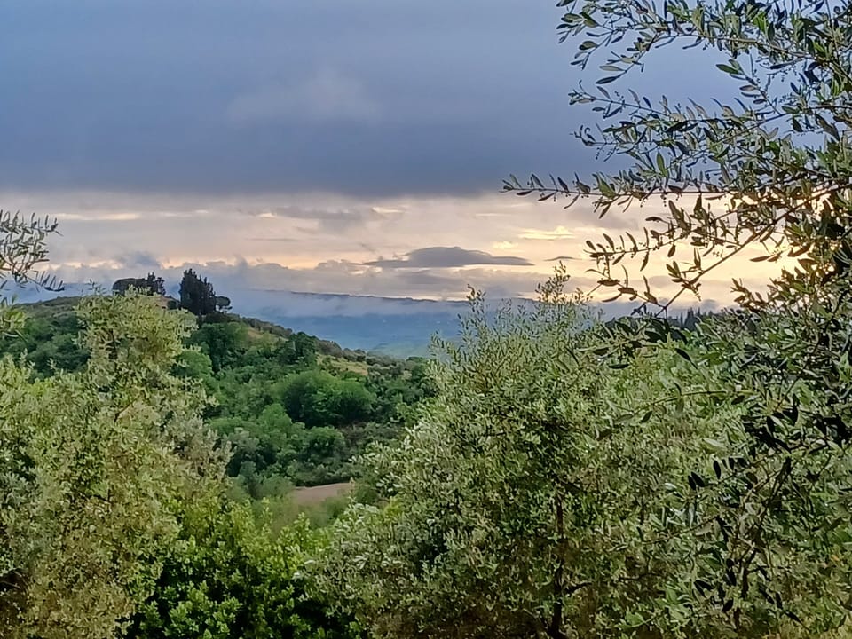 Superior Room | Valley view