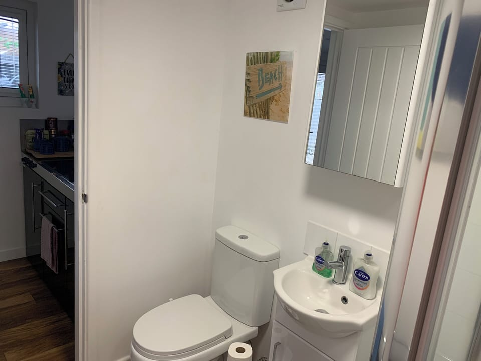 Lodge , air con , Free Parking , Mini bar Cottage in Hove