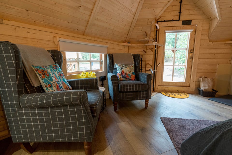 Cabin | Living room | Fireplace