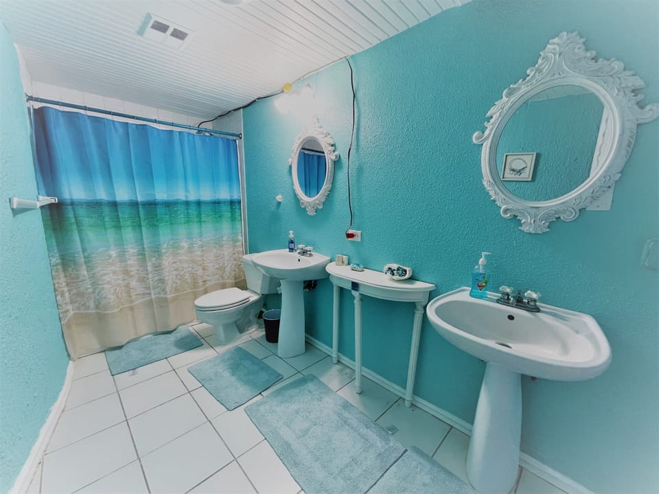 Premium Room, 1 King Bed, Patio, Sea View | Bathroom | Shower, designer toiletries, hair dryer, towels