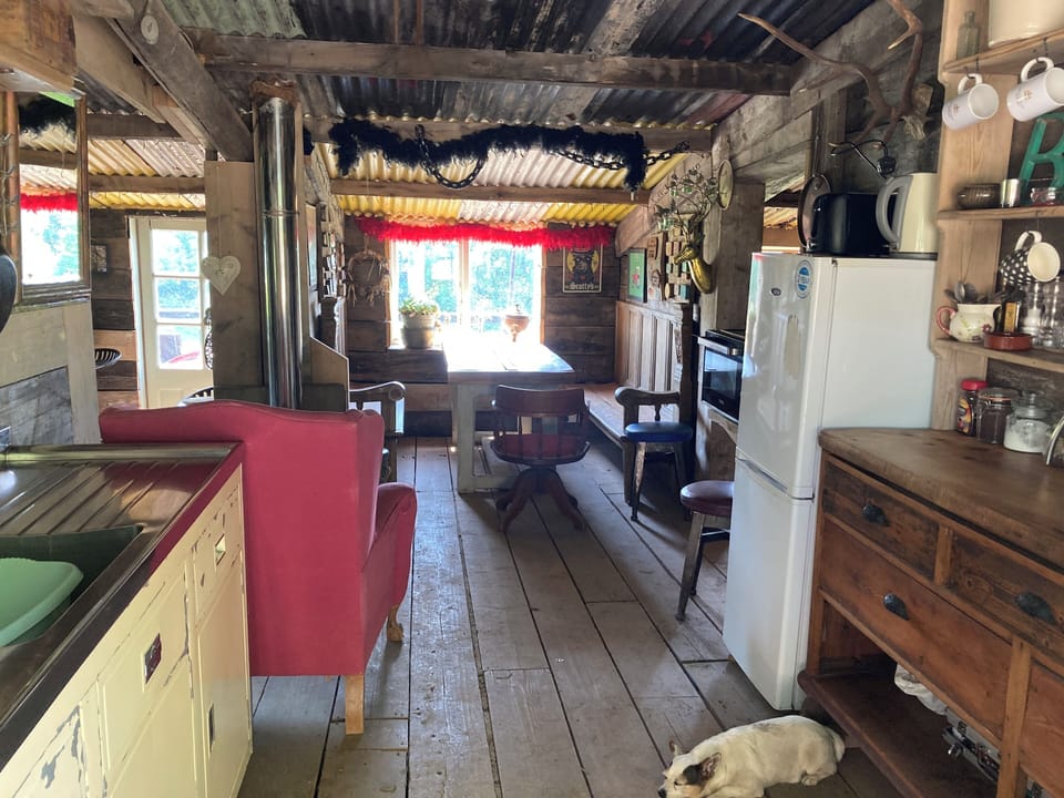 Cabin | Private kitchen | Fridge, oven, stovetop, electric kettle