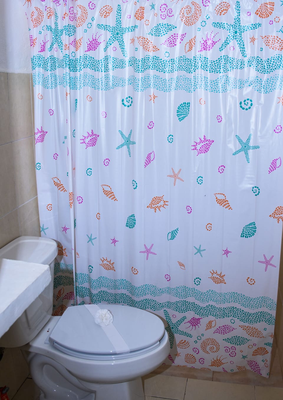Economy Double or Twin Room | Bathroom | Shower, towels, soap, shampoo