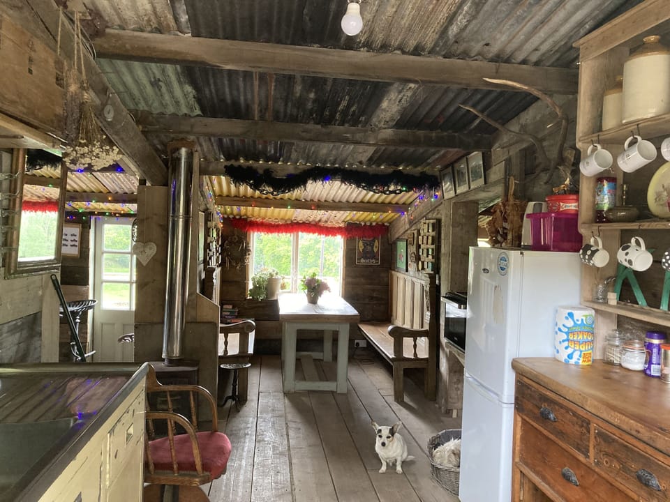 Cabin | Living room
