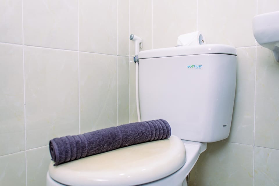 Shower, free toiletries, towels