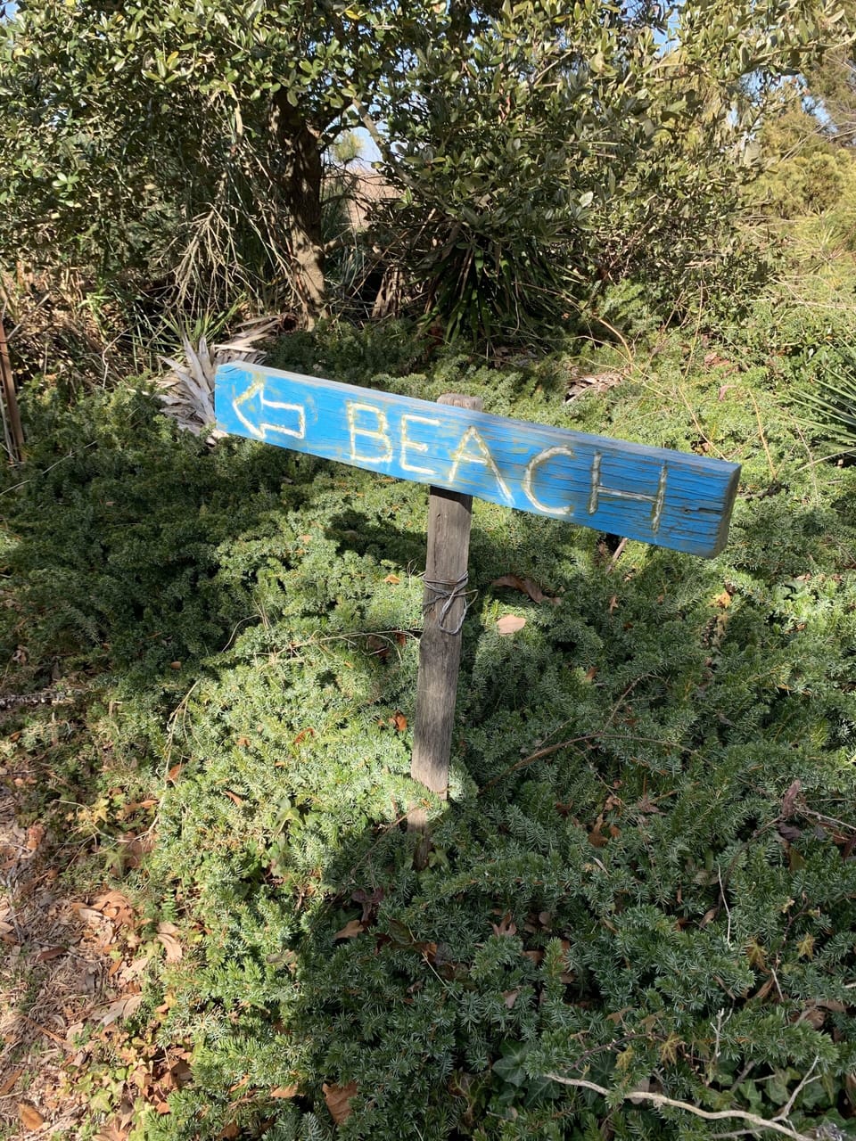 Cottage, 4 Bedrooms | Property grounds