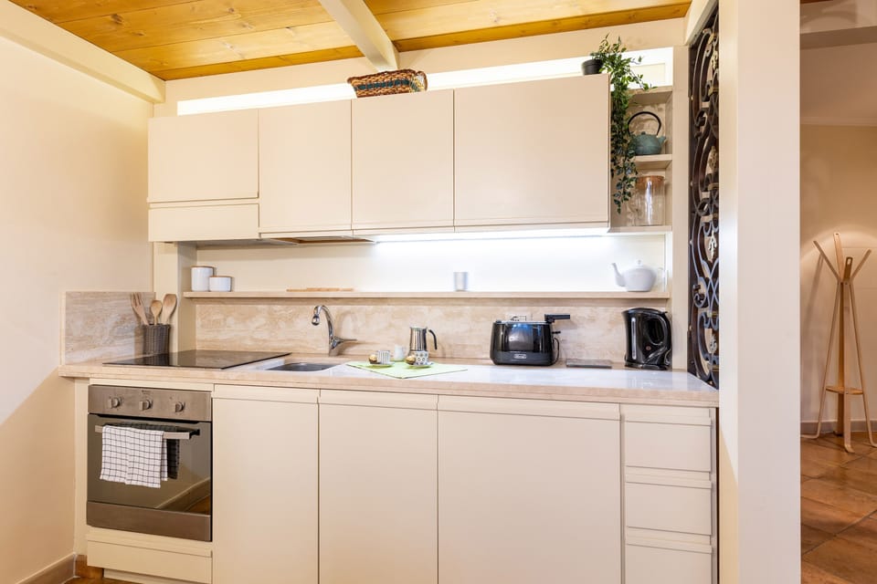 Classic Apartment | Private kitchen | Fridge, oven, stovetop, dishwasher