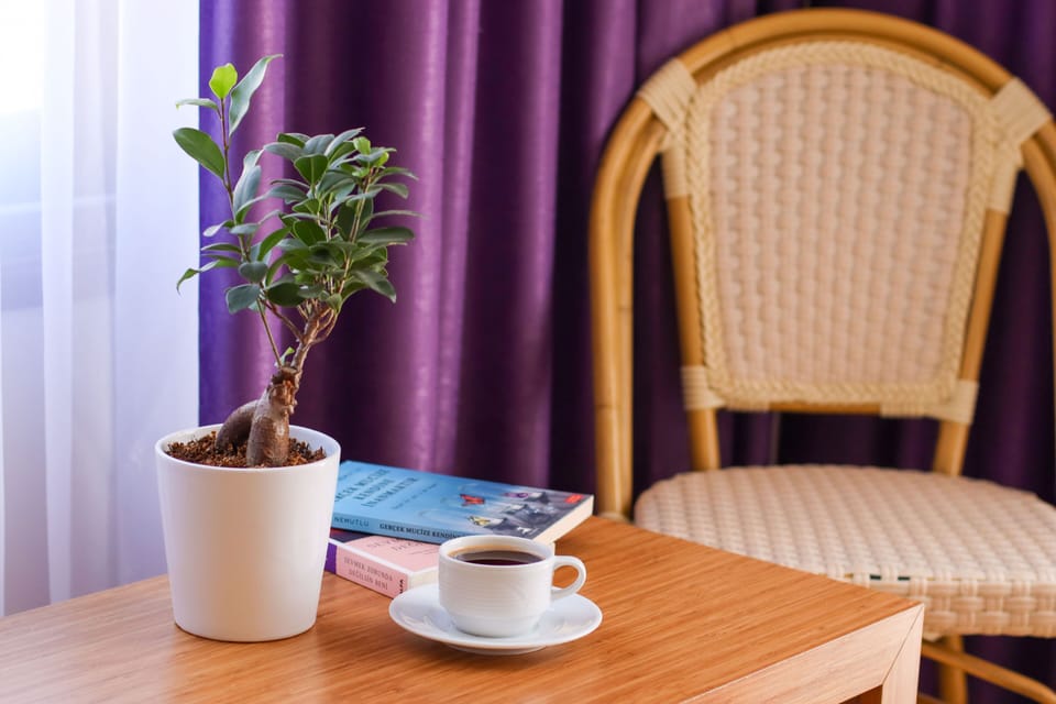 17-inch LCD TV with satellite channels, TV, books