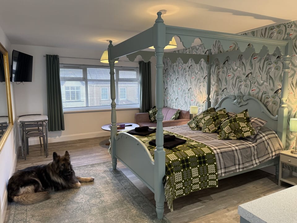 Studio, Ensuite | Interior