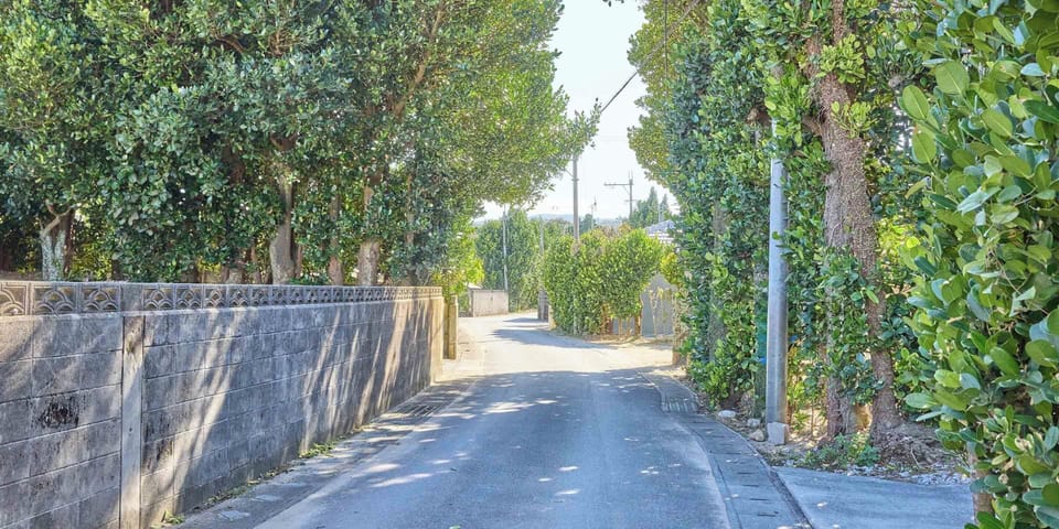 City view from property