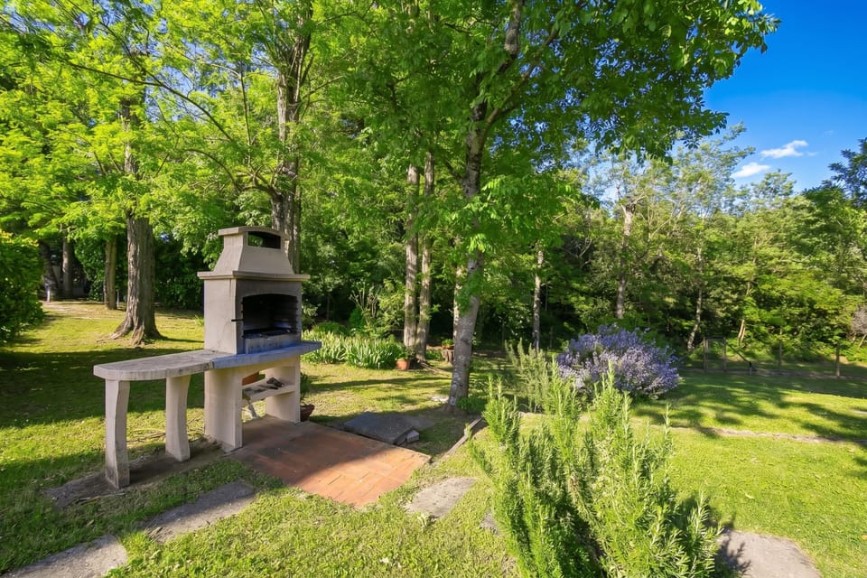Family Villa, 4 Bedrooms, 2 Bathrooms, Mountainside (Villa Cerbaie) | Garden