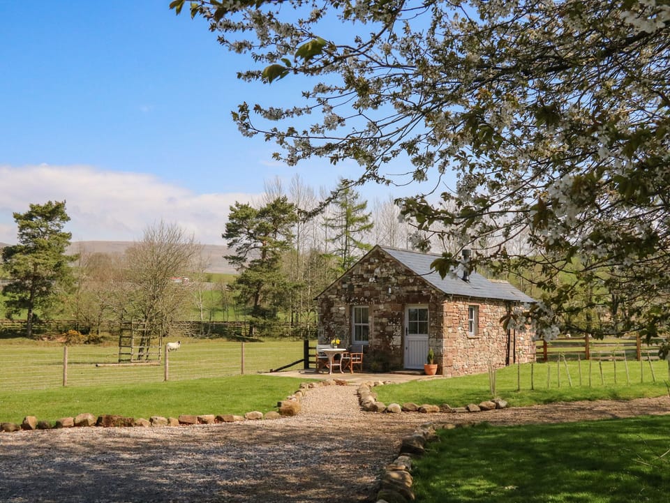 Cottage | Property grounds