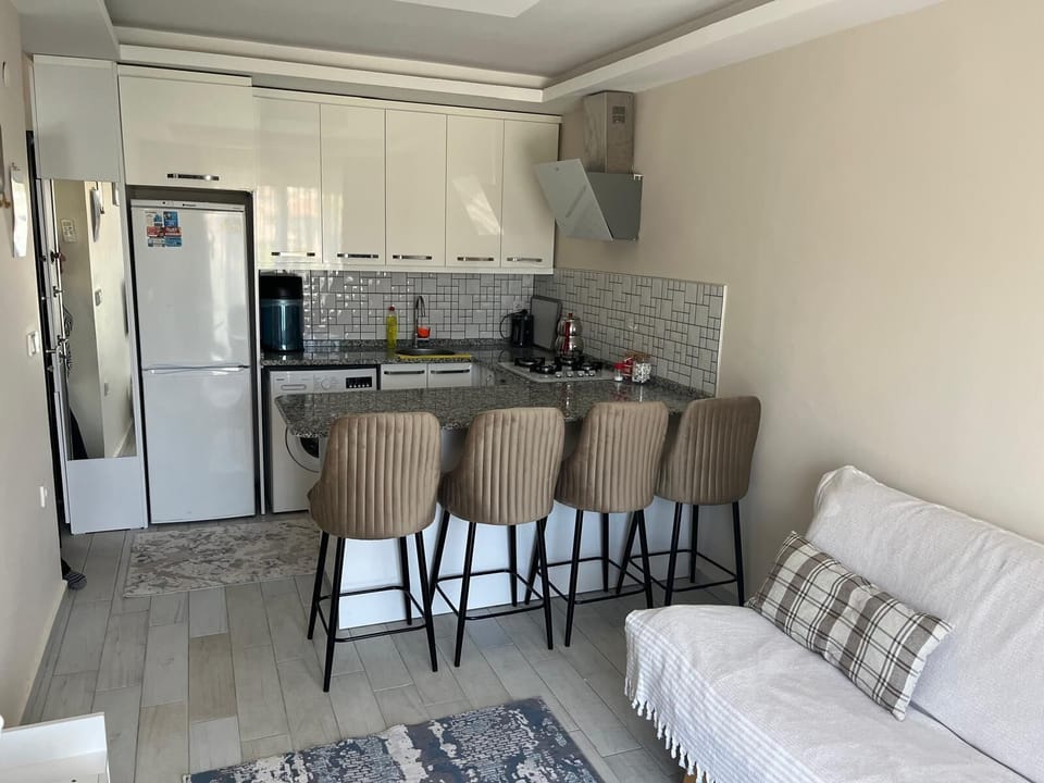 Classic Apartment | Private kitchen | Fridge, oven, stovetop, rice cooker