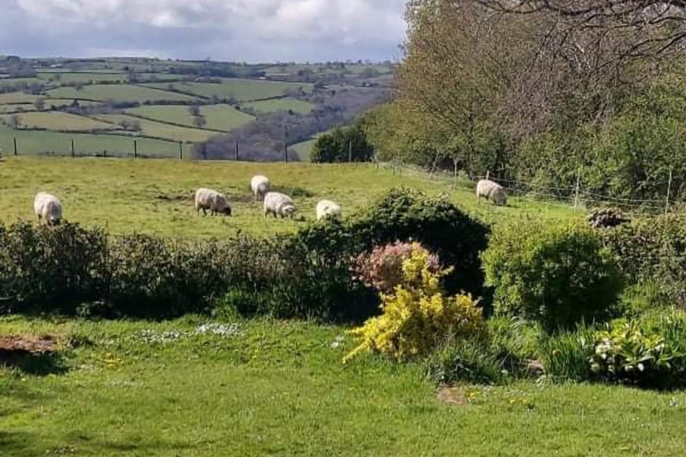 1 Bed Lodge-sleeps 4-pet Friendly-free Parking Cottage in England