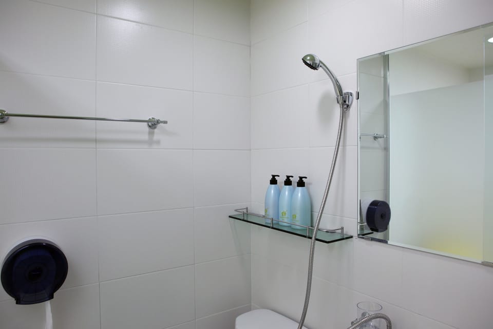 Shower, free toiletries, hair dryer, slippers