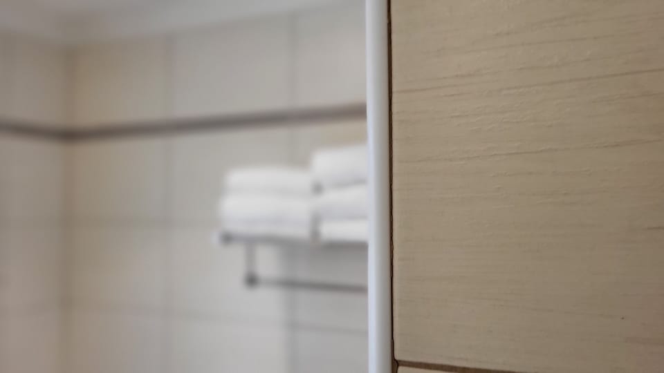 Family Apartment, 2 Bedrooms (A) | Bathroom | Hair dryer, bidet, towels, soap