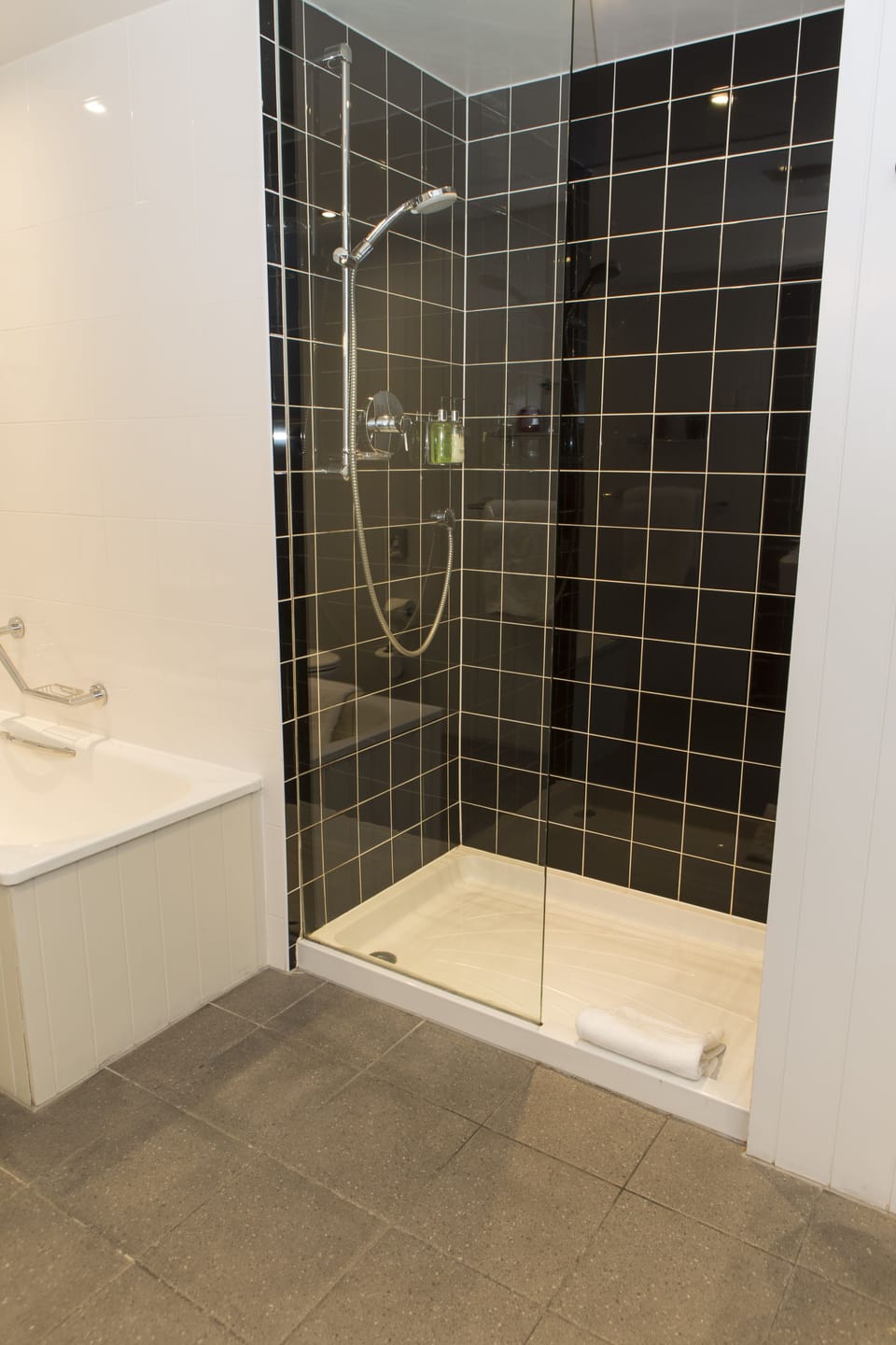 Executive Suite | Bathroom shower