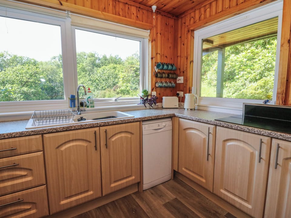 Fridge, microwave, dishwasher, electric kettle