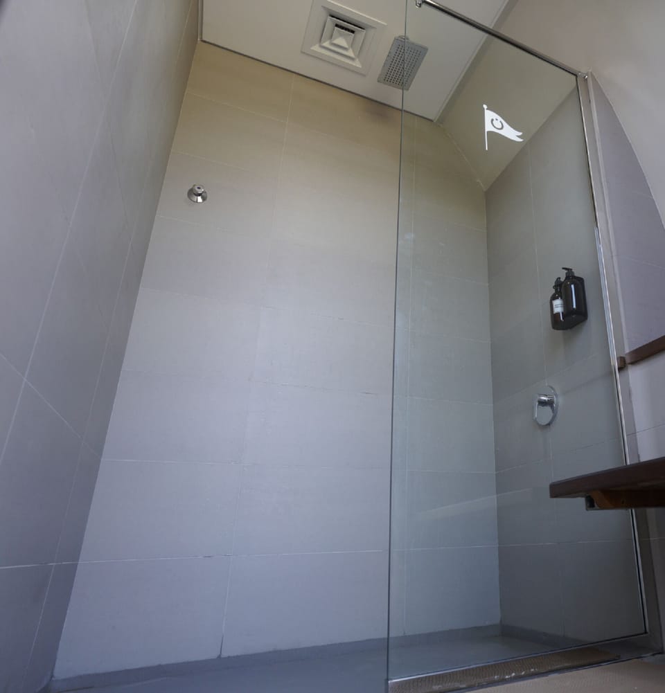 Shower, bidet, soap, shampoo