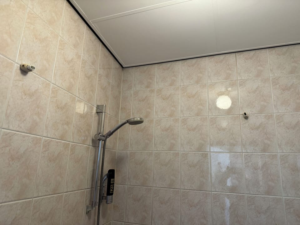 Basic Double Room (Double Room) | Bathroom | Shower, free toiletries, towels, soap