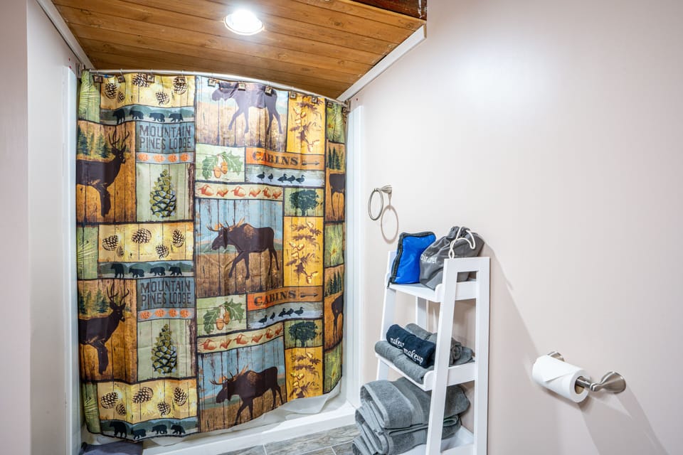 Separate tub and shower, hair dryer, towels, soap